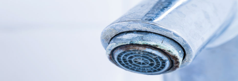 Removing and preventing limescale in the bathroom